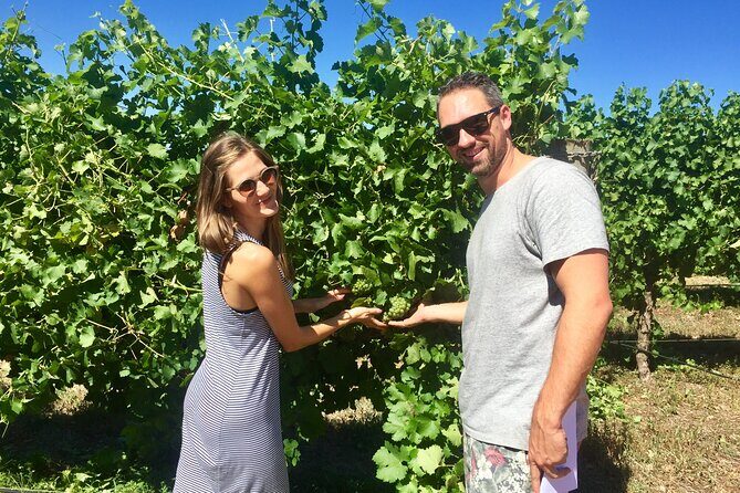 Margaret River Beer & Wine Adventure (departs Margaret River) - Who Is This Tour Best For?