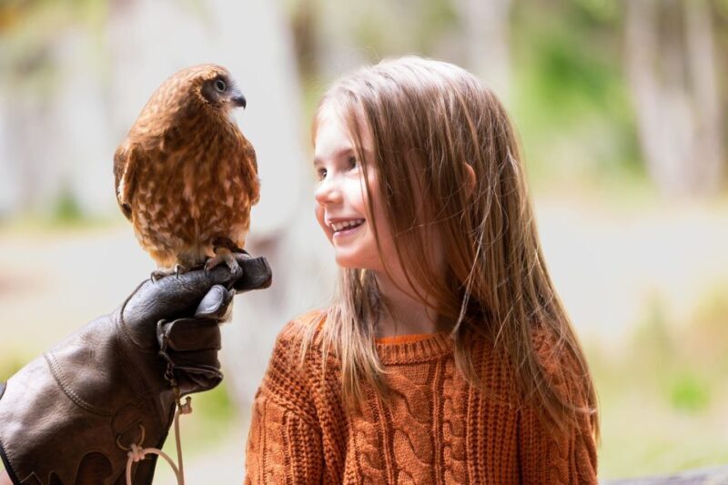 Margaret River: Birds of Prey Encounter and Forest Walk - FAQs