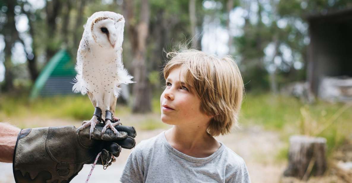 Margaret River: Birds of Prey Encounter and Forest Walk - Eagles Heritage Sanctuary Overview