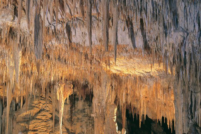 Margaret River, Caves, Wine and Cape Leeuwin Lighthouse Tour from Perth - Authenticity and Value