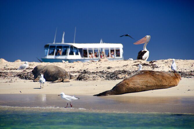 Margaret River Day Tour With Wildlife Cruise & Wine Tasting - Key Points