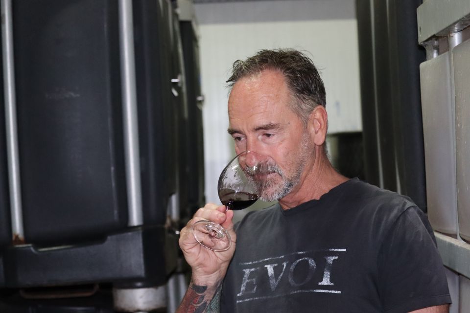 Margaret River: Evoi Wine Tasting Tour With Cheese Board - Experience Highlights at Evoi Winery