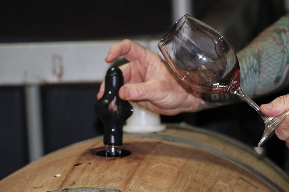 Margaret River: Evoi Wine Tasting Tour With Cheese Board - Recap