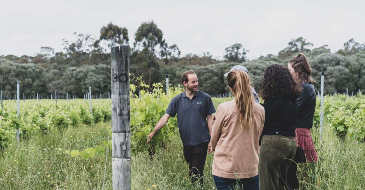 Margaret River: Food and Wine Tour With Tastings and Lunch - Key Points