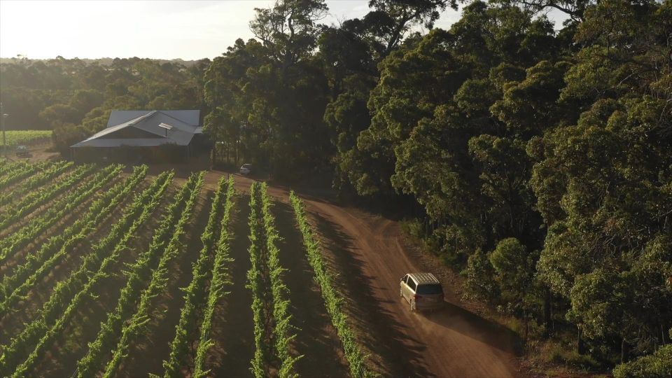 Margaret River: Food and Wine Tour With Tastings and Lunch - Tour Inclusions