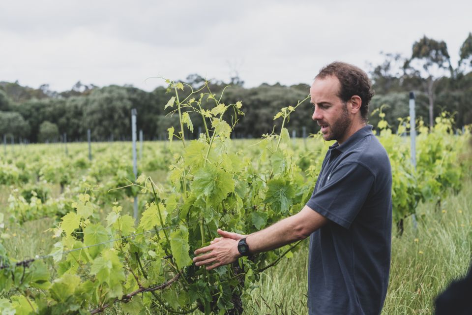 Margaret River: Food and Wine Tour With Tastings and Lunch - Booking Directions