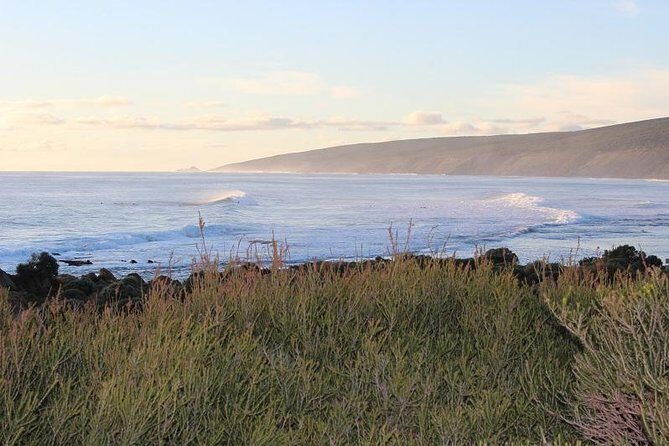 Margaret River Indulge and Discover Day Tour - Authentic Experiences and Why They Matter