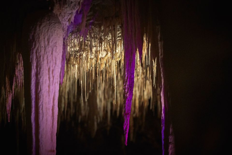 Margaret River: Lake Cave Fully-Guided Tour - Customer Reviews