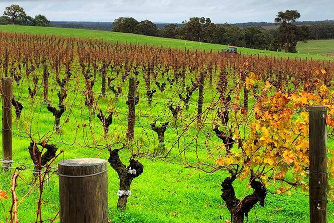Margaret River Private Day Tours - FAQ