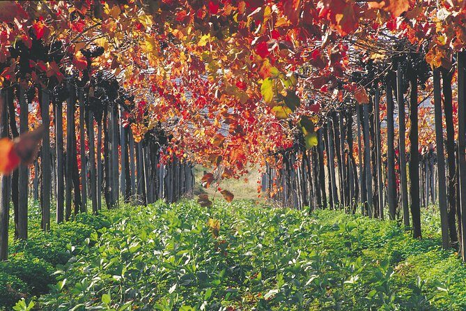 Margaret River Private Tour - The Experience of a Private, Customizable Tour