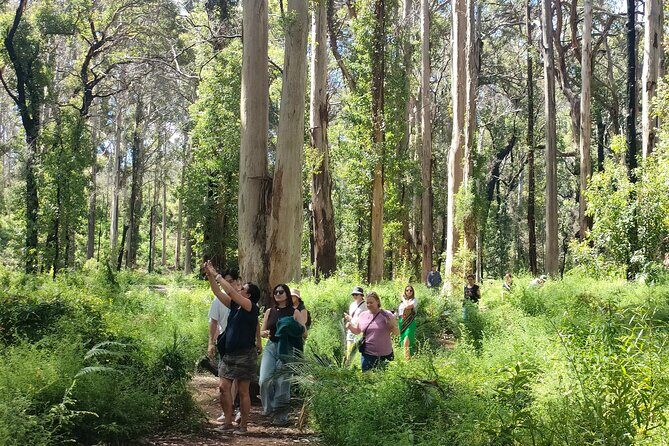 Margaret River Region Impression Day Tour from Perth - Final Thoughts: Who Should Consider This Tour?