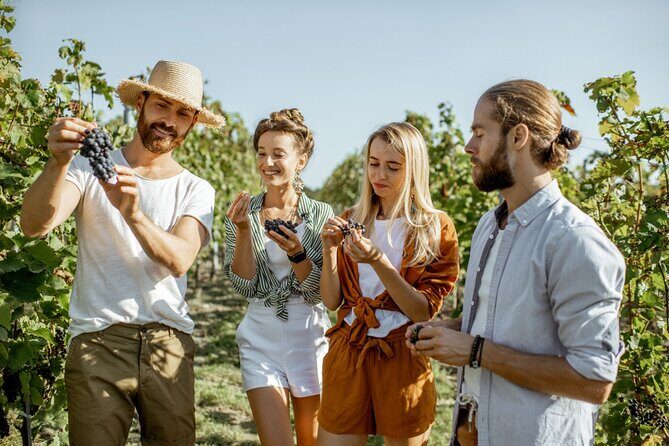 Margaret Rivers Wine & Chocolate Odyssey: Private Tour - The Sum Up