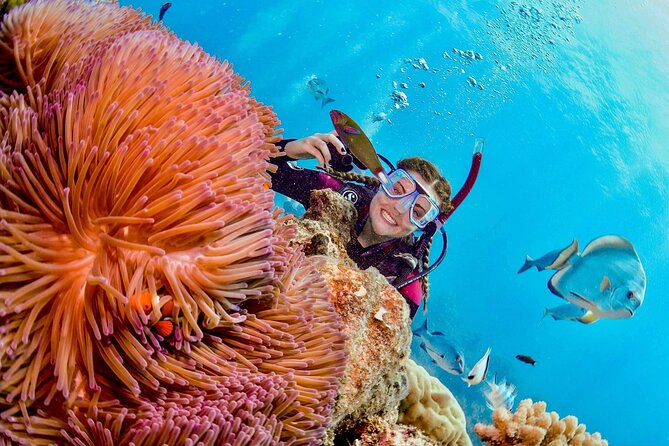 Margaritaville/Jeski Tour or Snorkeling in Montego Bay - Good To Know