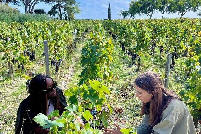 Margaux & the Medoc private wine tour in a classic Citroën car - An Authentic Bordeaux Experience in a Classic Car