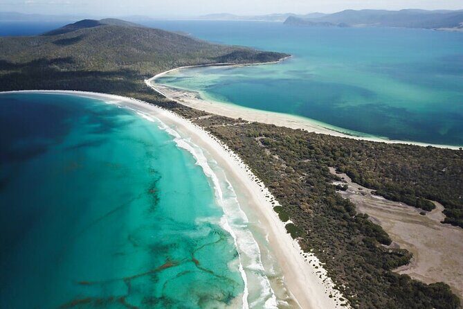 Maria Island Ferry - Hobart Bus Connection (Return Service) - Why This Shuttle Service Offers Good Value