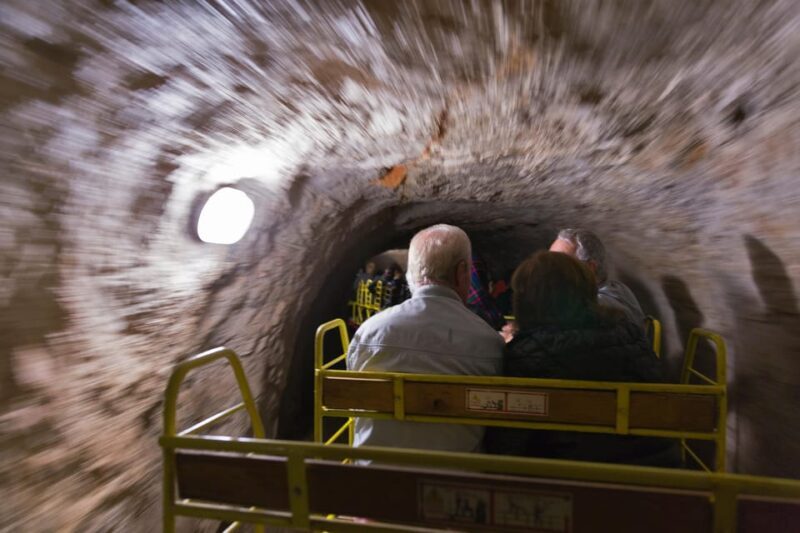 Maribor: Postojna Cave and Predjama Castle Day Private Tour - The Sum Up: Who Should Consider This Tour?