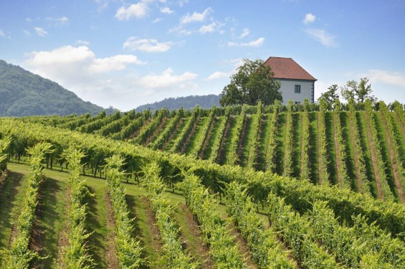 Maribor & Styria Tour with Wine Tasting - Who Is This Tour Perfect For?