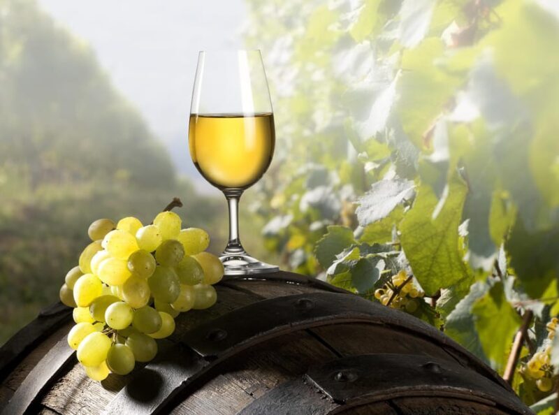 Maribor & Styria Tour with Wine Tasting - The Sum Up