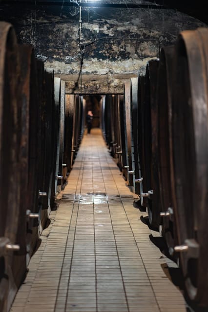 Maribor: Vinag Wine Cellar Tour with Wine tasting and snacks - The Sum Up