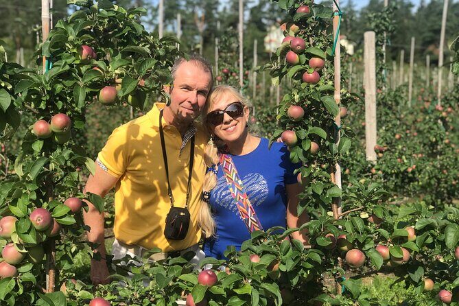 Mariehamn Private Guided Walking Tour - The Value of a Private Guided Tour