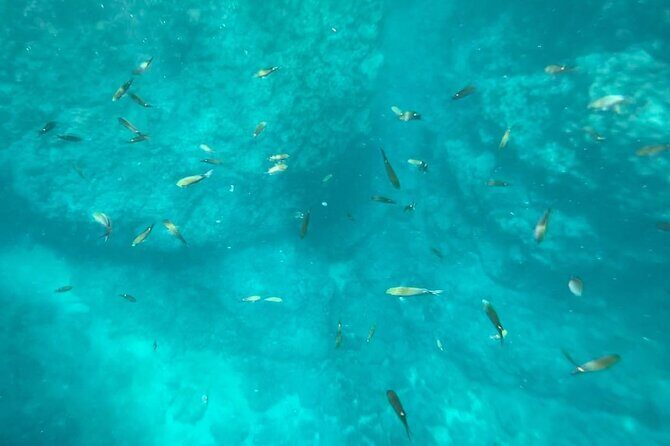 Marietas Islands PRIVATE for 2 px hidden beach 100% GUARANTEED - Price & Value Analysis