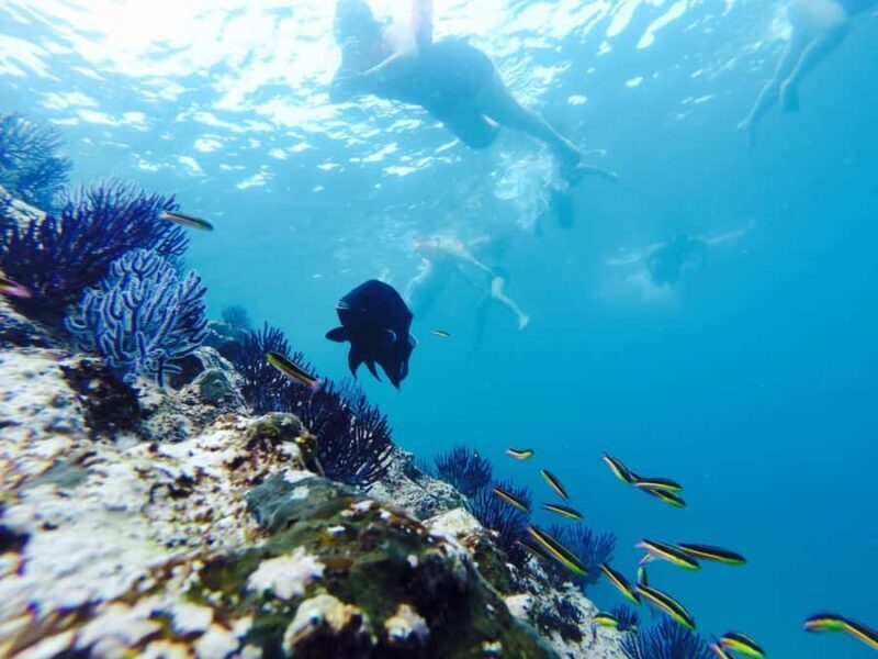 Marietas Islands Safari - Final Impression