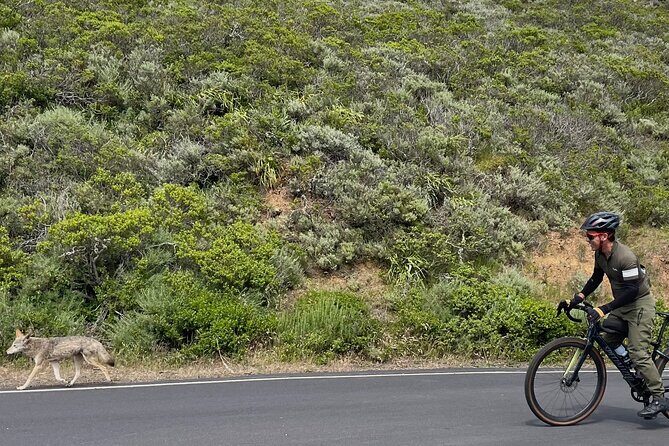Marin Headlands Gravel Cycling Tour From San Francisco - Practical Considerations