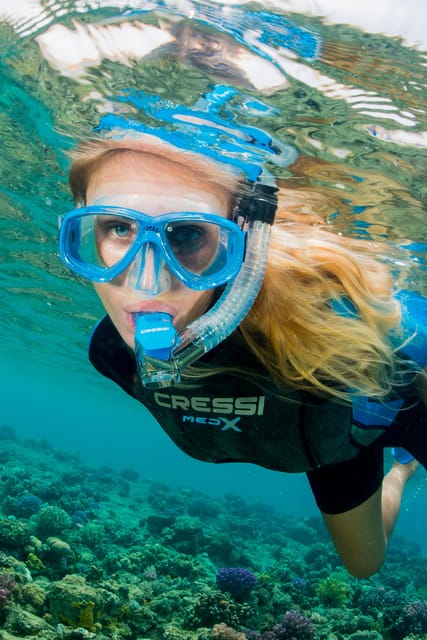 Marina Baie Des Anges Boat Trip to the Pelagos Sanctuary - Itinerary Highlights