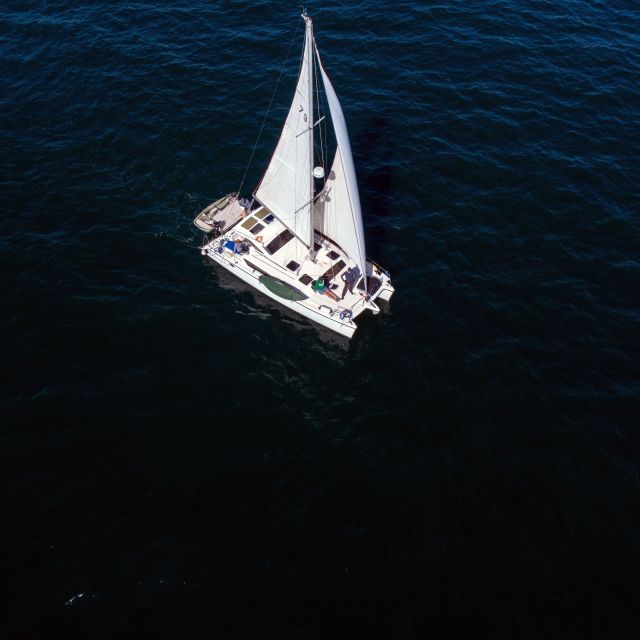 Marina Del Rey : 4 Hour Private Catamaran Sailboat for 6 - Important Information