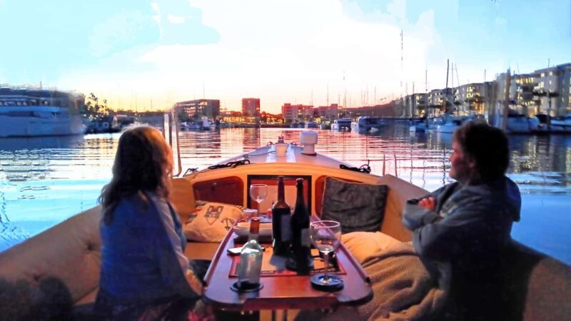 Marina del Rey: Boat Cruise with Wine, Charcuterie and Music - The Views and Wildlife