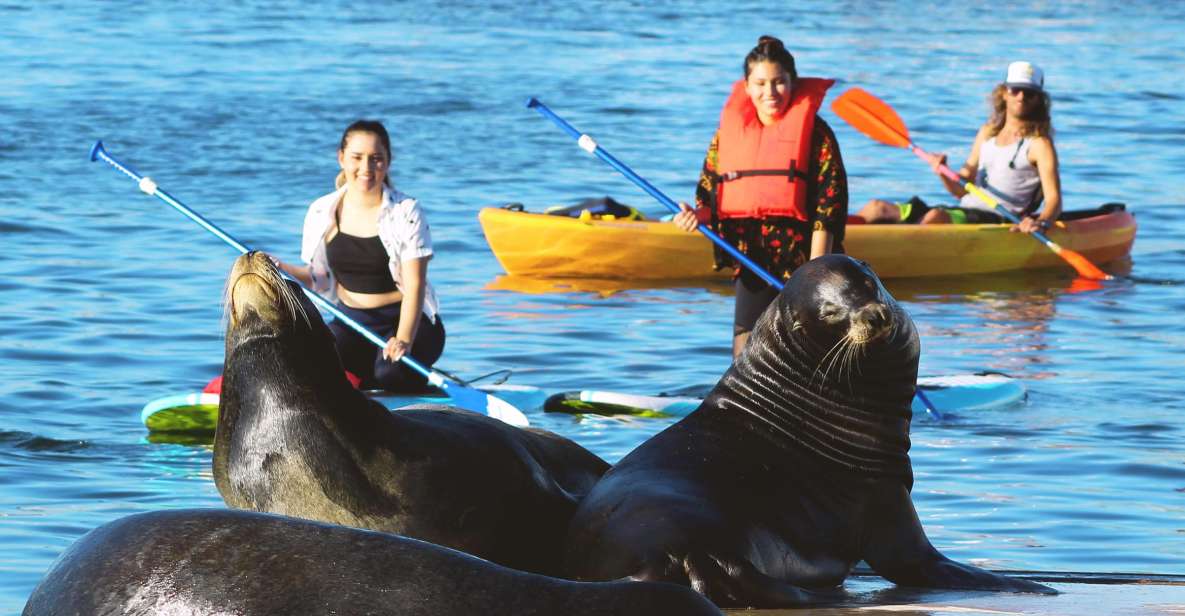 Marina Del Rey: Kayak and Paddleboard Tour With Sea Lions - Meeting Point and Directions