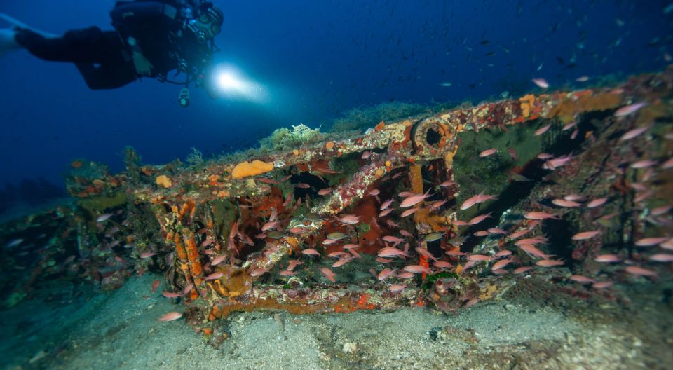 MARINA DI CAMPO: DIVING ON THE ISLAND OF ELBA AND PIANOSA - Dive Schedule and Options