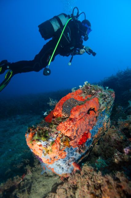 MARINA DI CAMPO: DIVING ON THE ISLAND OF ELBA AND PIANOSA - Included in the Dive Package