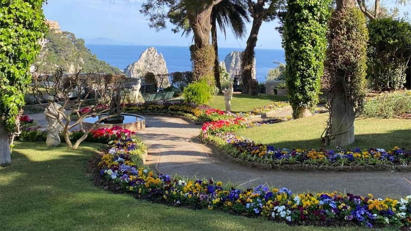 Marina Grande: Guided Capri Island Hop-On Hop-Off Bus Tour - Who Would Love This Tour?