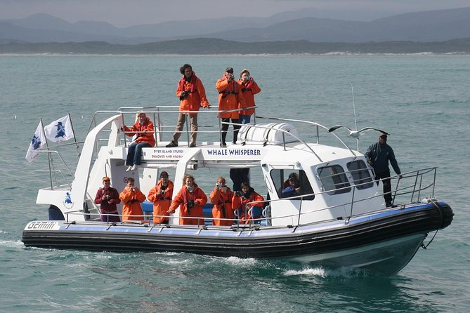 Marine Big 5 Safari Full Day Trip From Cape Town - Pickup and Logistics