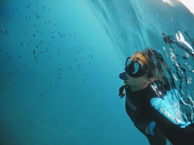 Marine Biology & Snorkelling Experience in the Cinque Terre - Activity Duration and Price