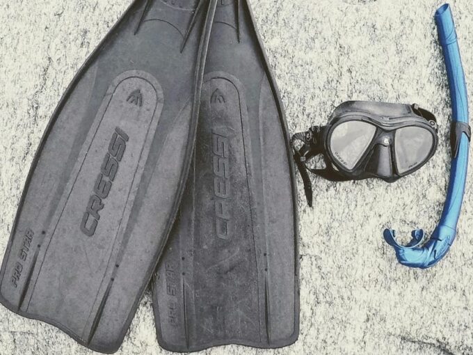 Marine Biology & Snorkelling Experience in the Cinque Terre - Frequently Asked Questions