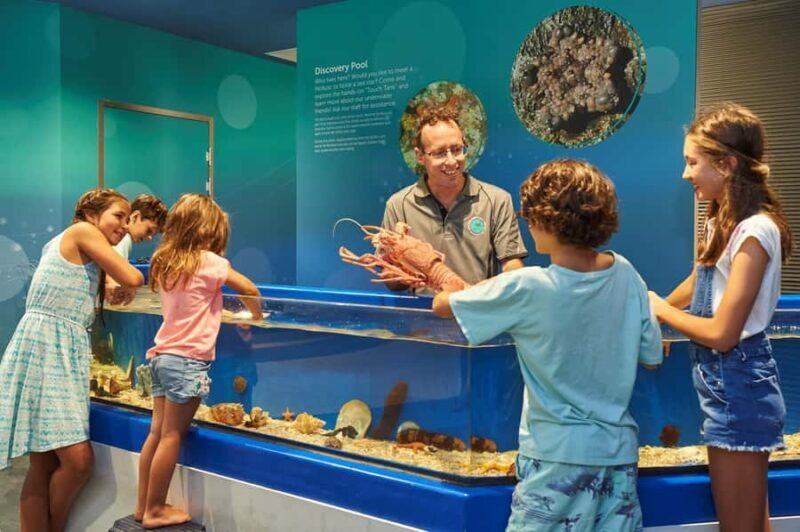 Marine Discovery Centre - Key Points