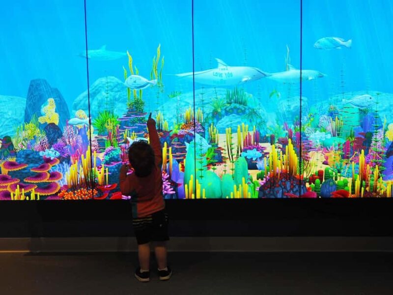 Marine Discovery Centre - What makes the Marine Discovery Centre worth your visit?