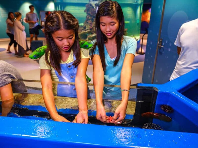 Marine Discovery Centre - What visitors are saying