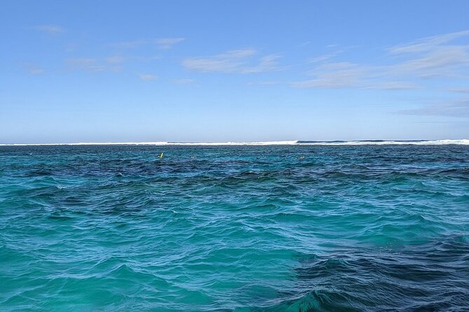 Marine Eco Safari - Swim With Manta Rays - Meeting Location and Schedule
