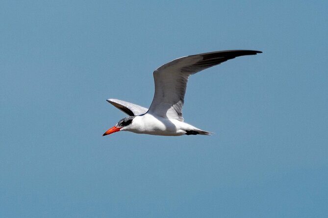 Marine Ecology Tour in La Paz Mexico - Introduction: Why This Marine Ecology Tour Stands Out