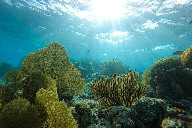 Marine Park - Private Boat charter with LOCAL Captain/ Guide - Key Points