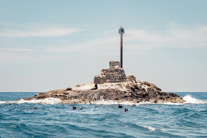 Marine Safari in La Ventana - An In-Depth Look at the Marine Safari Experience