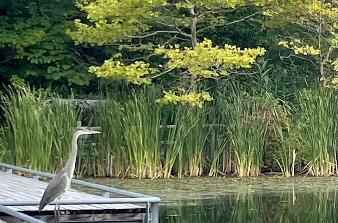 Market to Market Breakfast Tour - The Sum Up