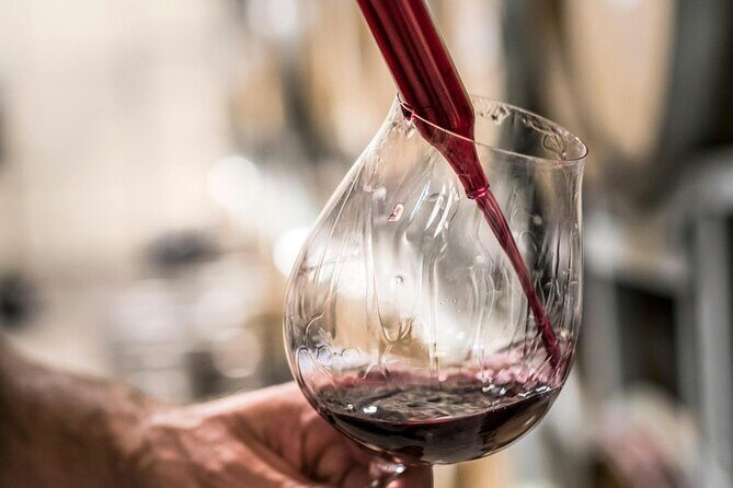 Marlborough Afternoon Wine Tour Taste Local Wines - The Itinerary in Detail: What to Expect