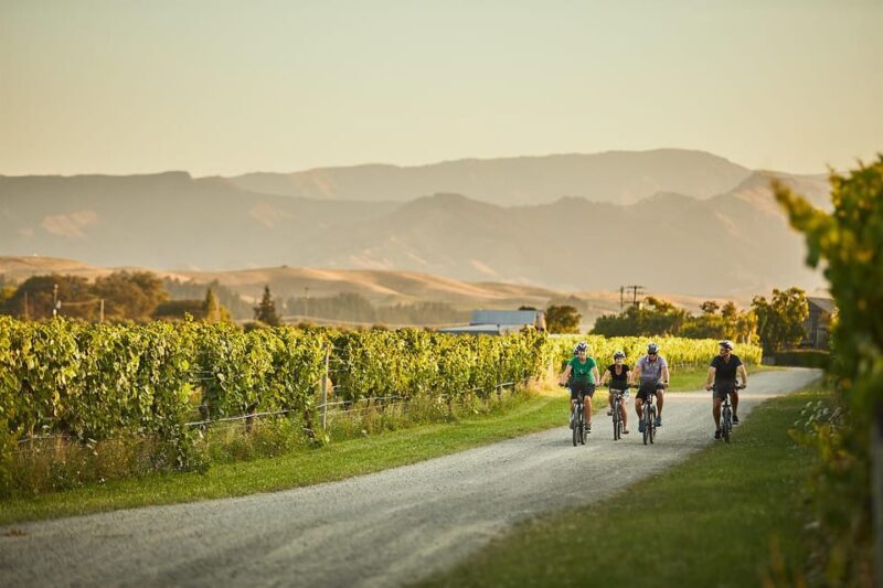 Marlborough: Full-Day Self-Guided Biking Wine Tour - Planning Your Day: What to Expect