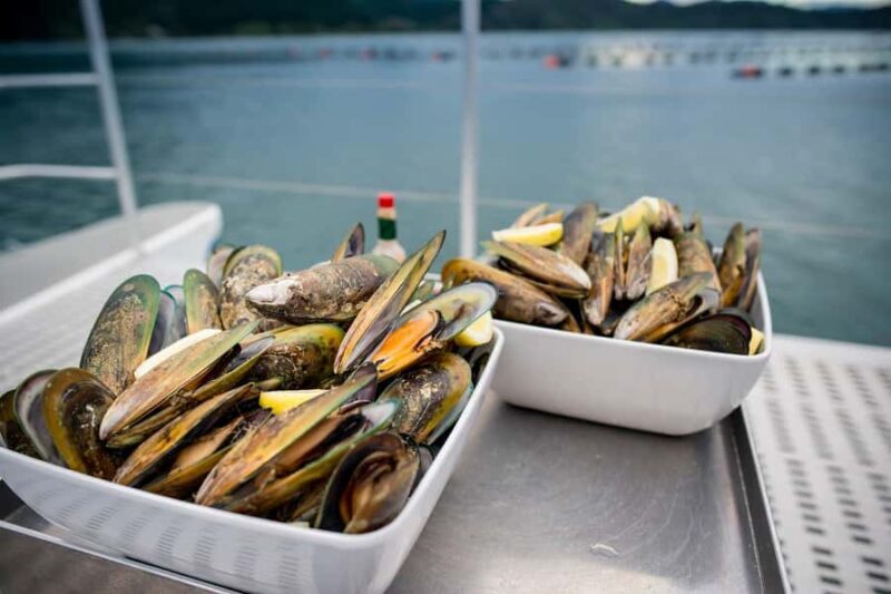 Marlborough: Full-Day Wine and Seafood Tour with Cruise - What’s in It for You?