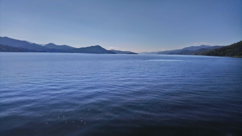 Marlborough: Full-Day Wine and Seafood Tour With Cruise - Transportation and Pickup