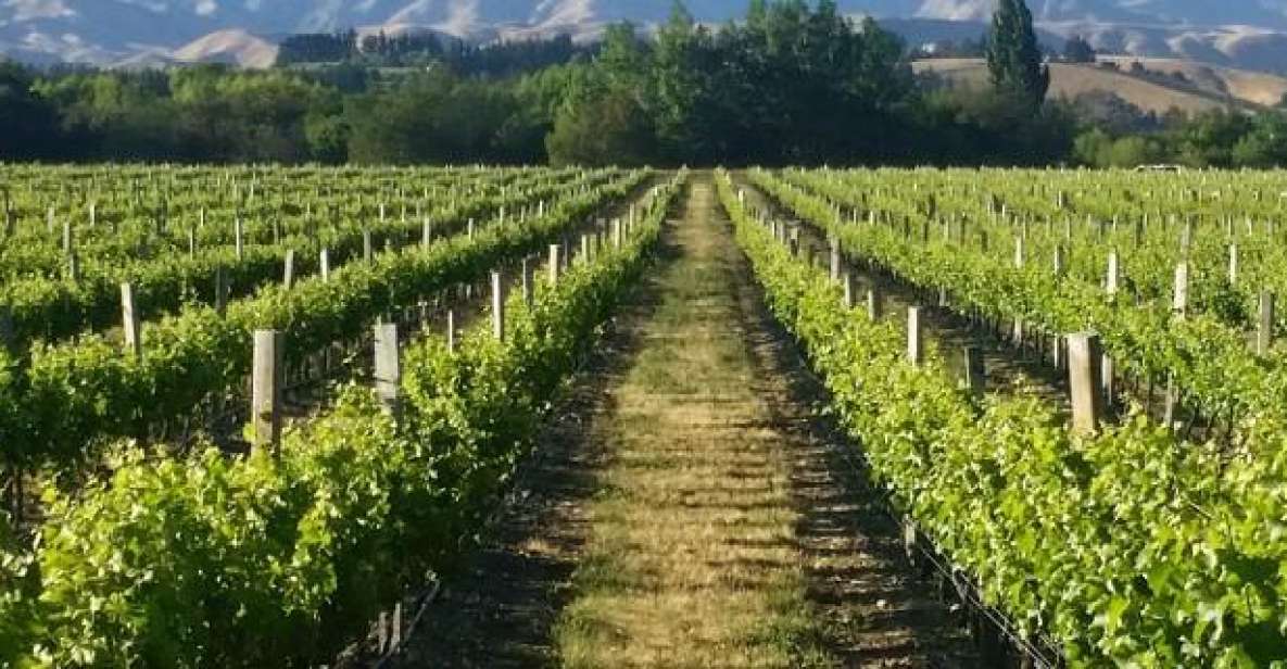 Marlborough Full Day Wine Tour - Tour Duration
